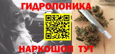 гашик Кулебаки