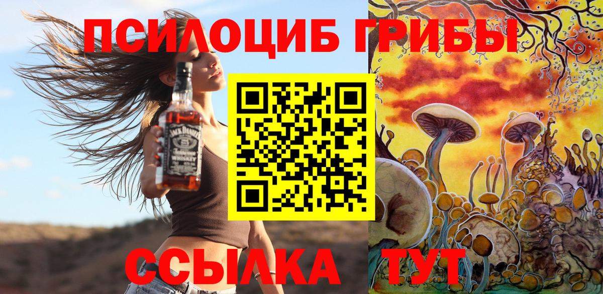 Псилоцибиновые грибы Psilocybine cubensis Арзамас