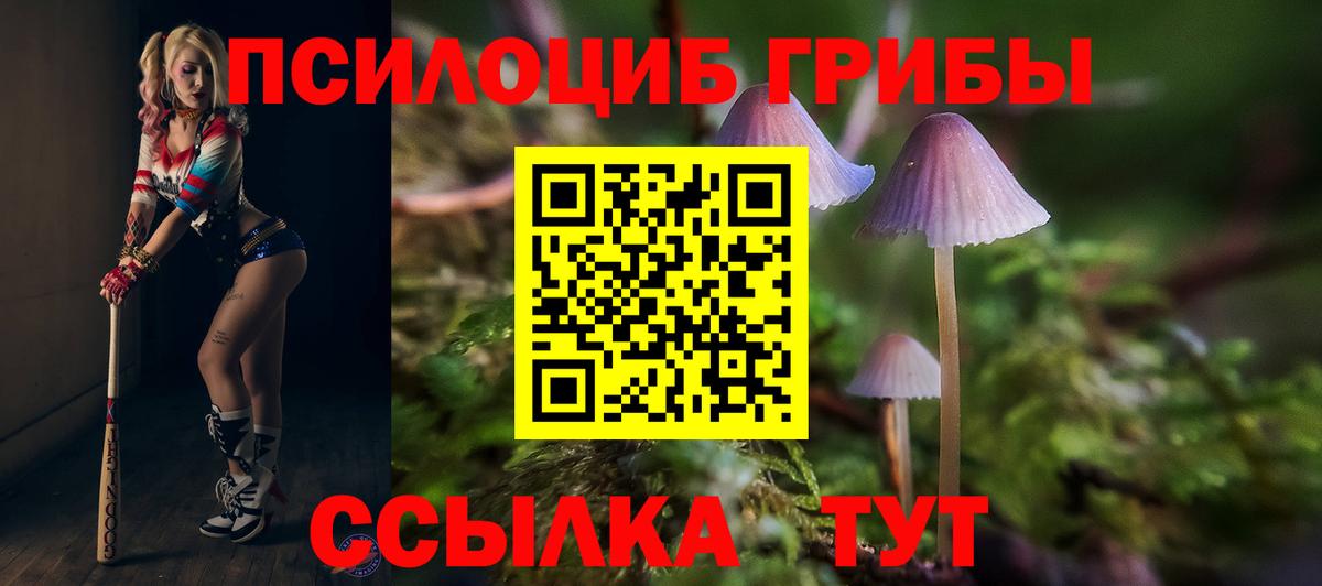 Галлюциногенные грибы Cubensis  Вход с VPN  Арзамас 
